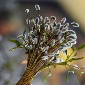 Cu Duminica Floriilor!